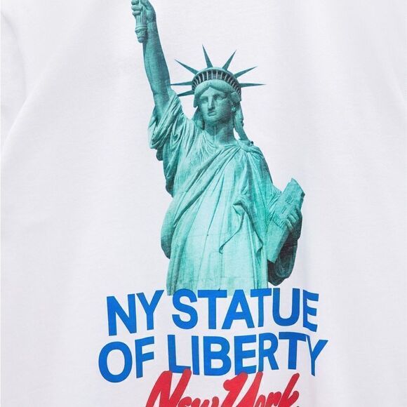 new zara PRINTED T-SHIRT WITH EMBROIDERY - Picture 2 of 6